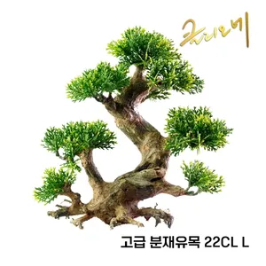 분재유목 22CL(L) 30x40x15