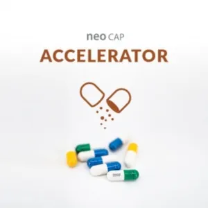 네오캡 엑셀레이터 ACCELERATOR 20캡슐