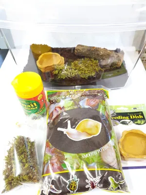 달팽이키우기 세트 [채집통대+사료+바닥재+물그릇+천연놀이목+이끼]