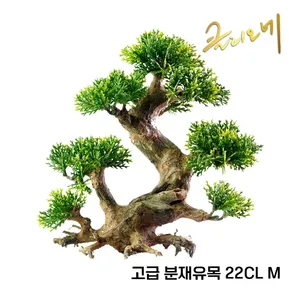 분재유목 22CL(M) 23x30x13