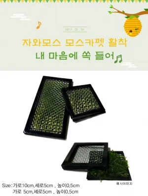 자와모스 모스카펫활착 (가로10cm 세로5cm) 1개 (음성수초 활착수초 모스활착)