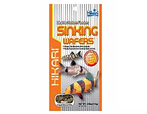 히카리 코리도라스(25g)
