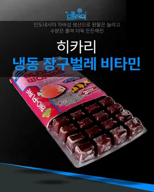 [특가] 히카리 냉동 장구벌레 비타민타입 1팩, 1박스