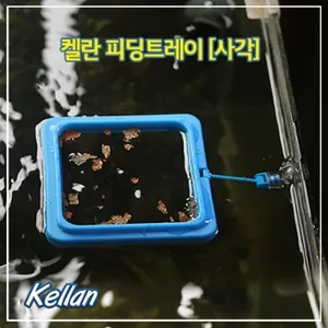 켈란 원형 사각 피딩트레이 먹이틀 K004 K005