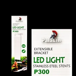팔라딘 P300 6W 화이트 저전력 슬림형 LED 조명