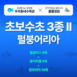 펄붕어리아 세트 - 펄글라스 + 암브리아 + 붕어마름