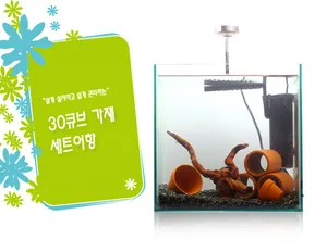 30큐브 가재 LED 풀 세트