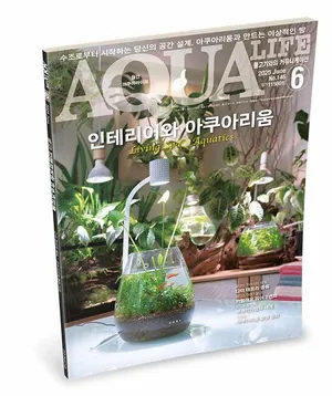 2025년 6월호 : 인테리어와 아쿠아리움