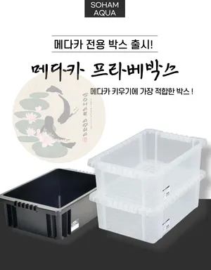 [소함아쿠아] 메다카 프라베박스 _사이즈 : S