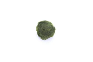 모스볼 2~4cm 1개