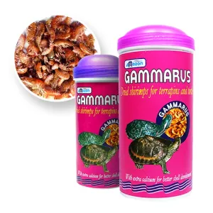 아마존 감마루스 대 1000ml 거북이 먹이 사료