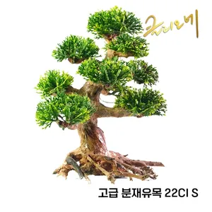 분재유목 22CI(S) 23x17x12/낱개