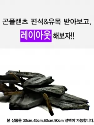 90cm어항 편석&유목 레이아웃세트