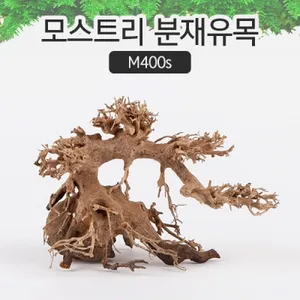 모스트리 분재유목(S) M400s 수초어항 레이아웃